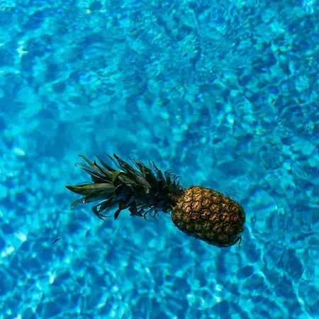 Πανσιόν Mysea Villasnikiti